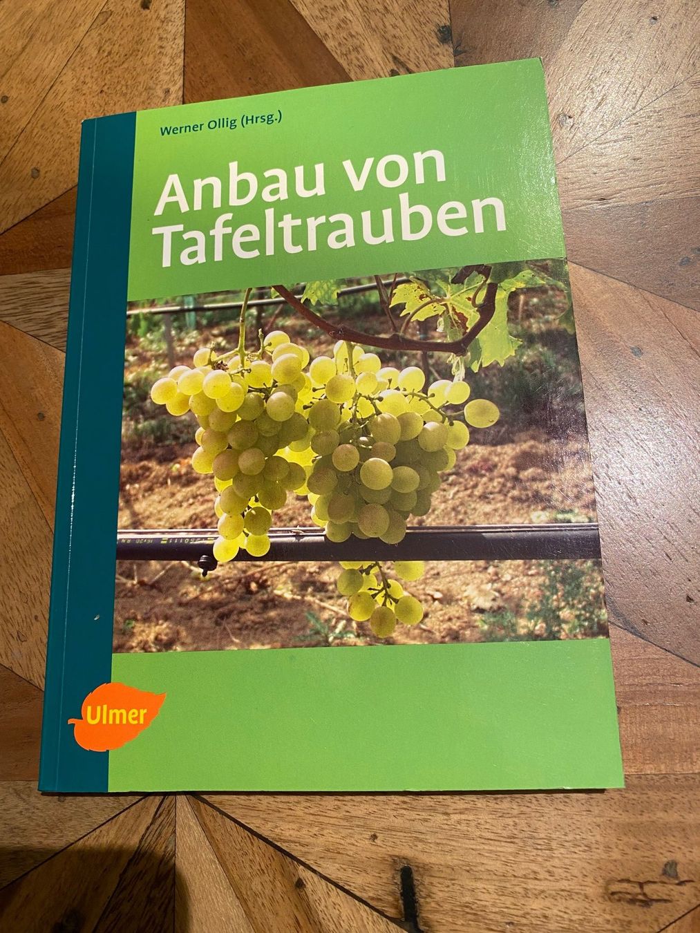 Libri: Anbau von Tafeltrauben - Fachbuch – Usato da Stadel b. Niederglatt venduto da sandart