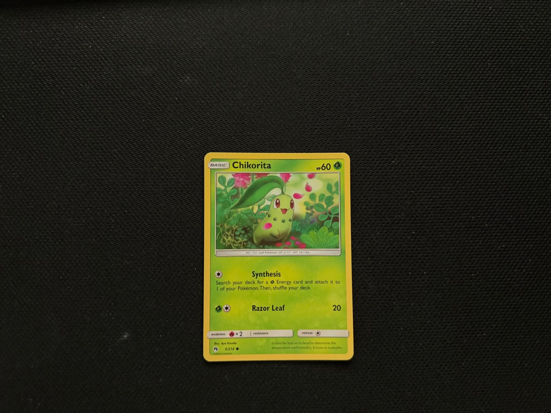 Pokémon Sammelbilder & Trading cards: Chikorita 5/214 – Gebraucht aus Zürich von mountainwizard00