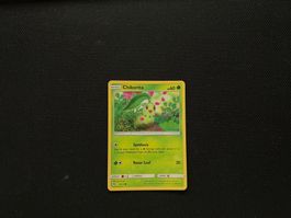 Chikorita 5/214