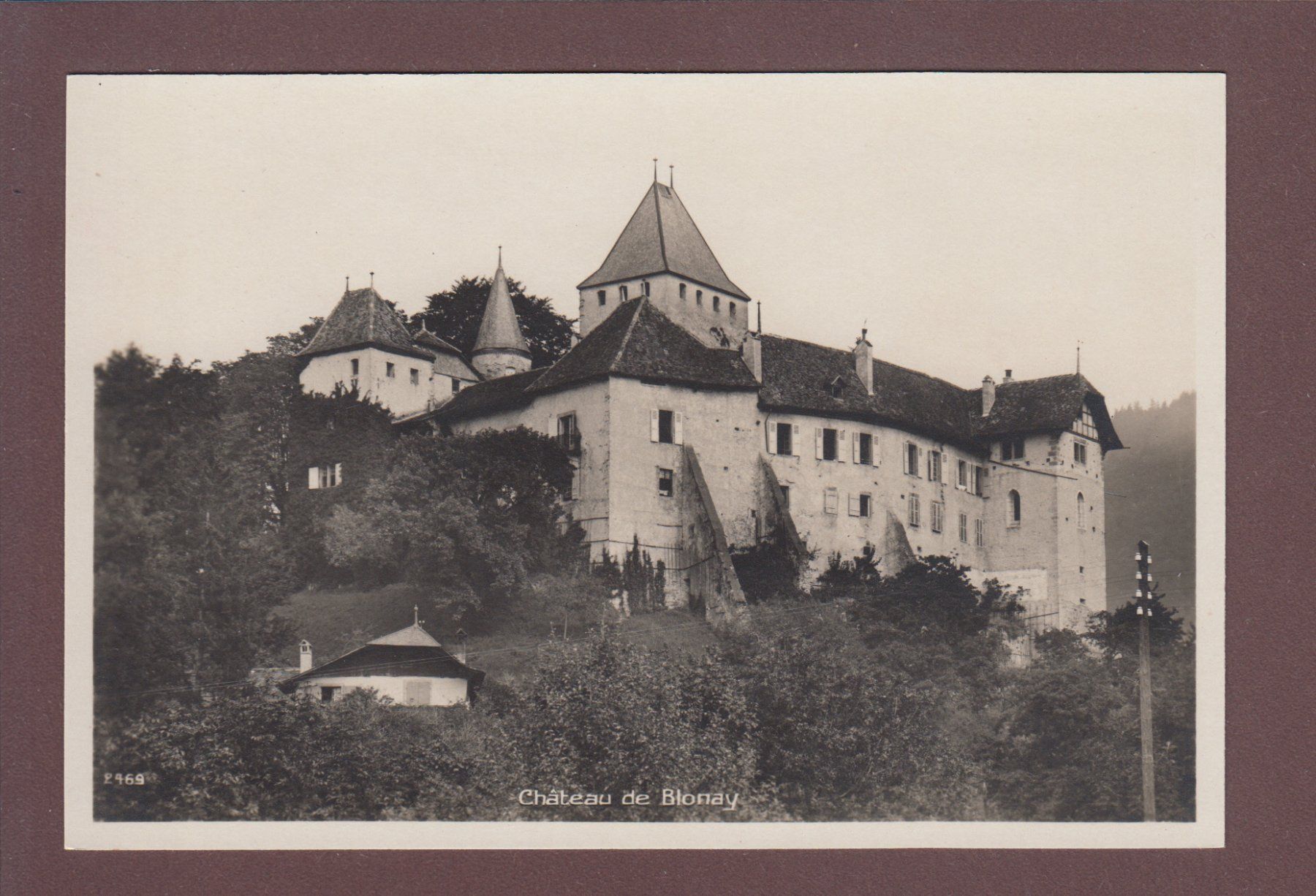 Cartoline postali: Château de BLONAY – Usato da Pully venduto da nicecards
