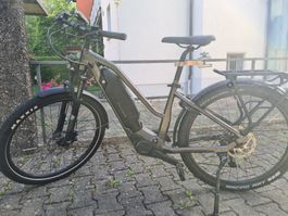 Flyer E-Bike 25km/h mit Zubehör, guter Zustand