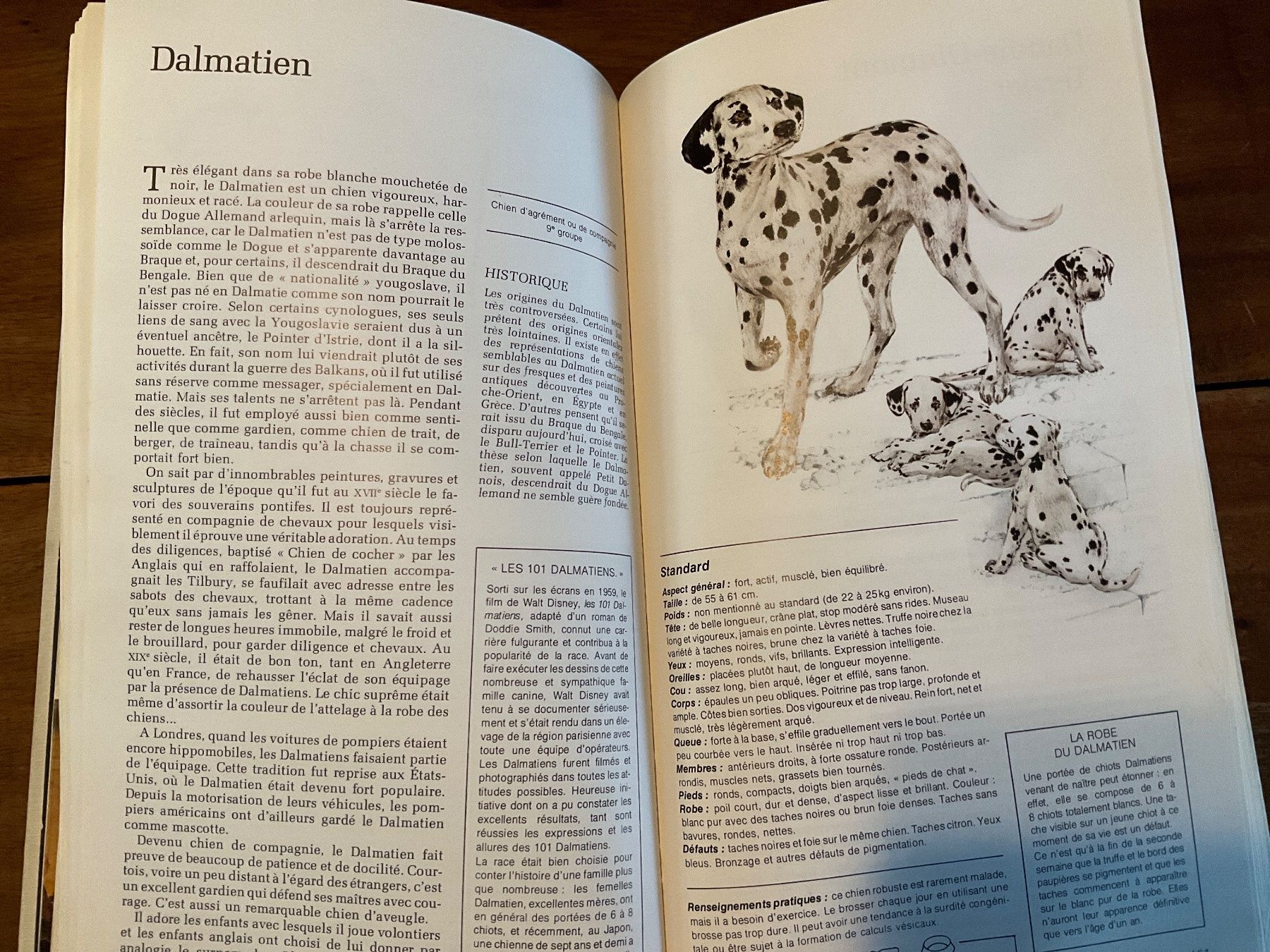 Livres: Guide des Chiens Sélection Reader's Digest – D'occasion à Avenches par Lactobacille 3