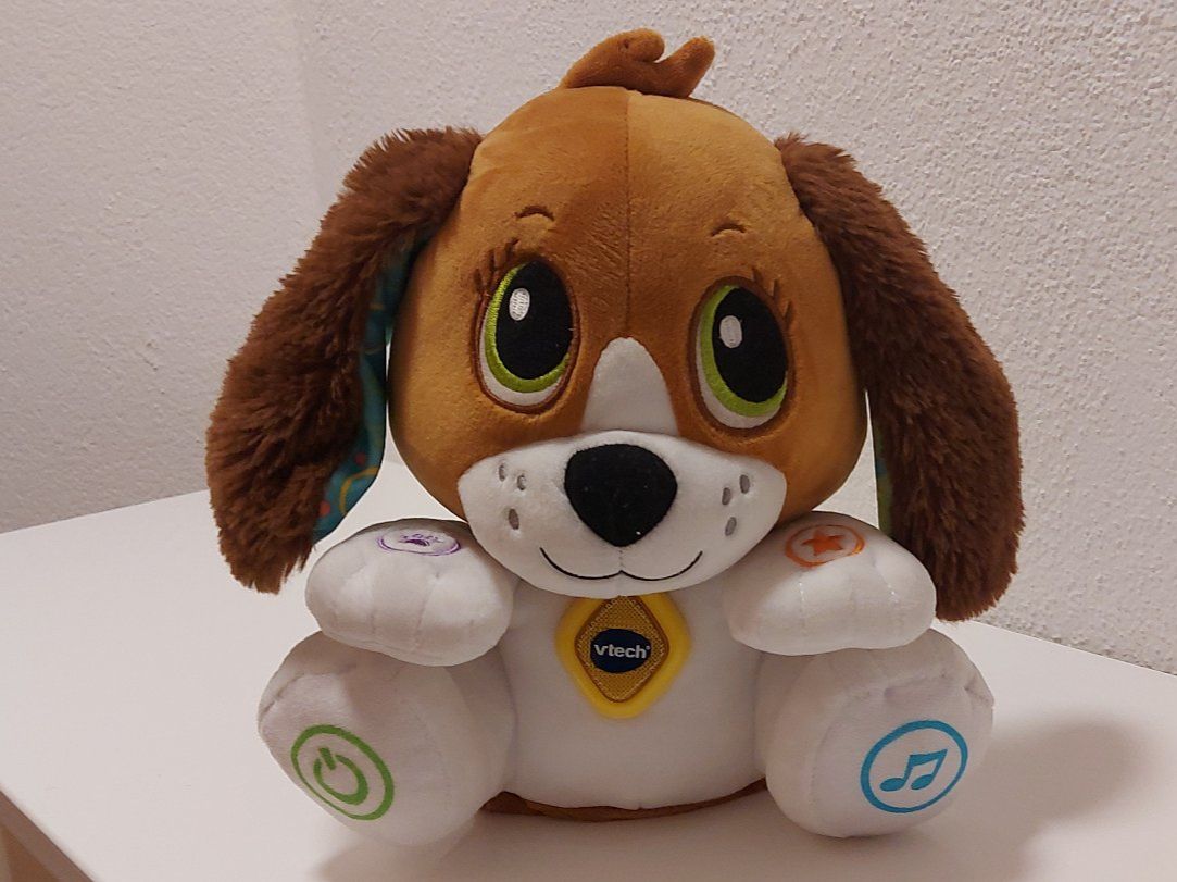 Vtech Giocattoli: VTech Sprich-mit-mir-Hündchen – Usato da Uttwil venduto da jason019