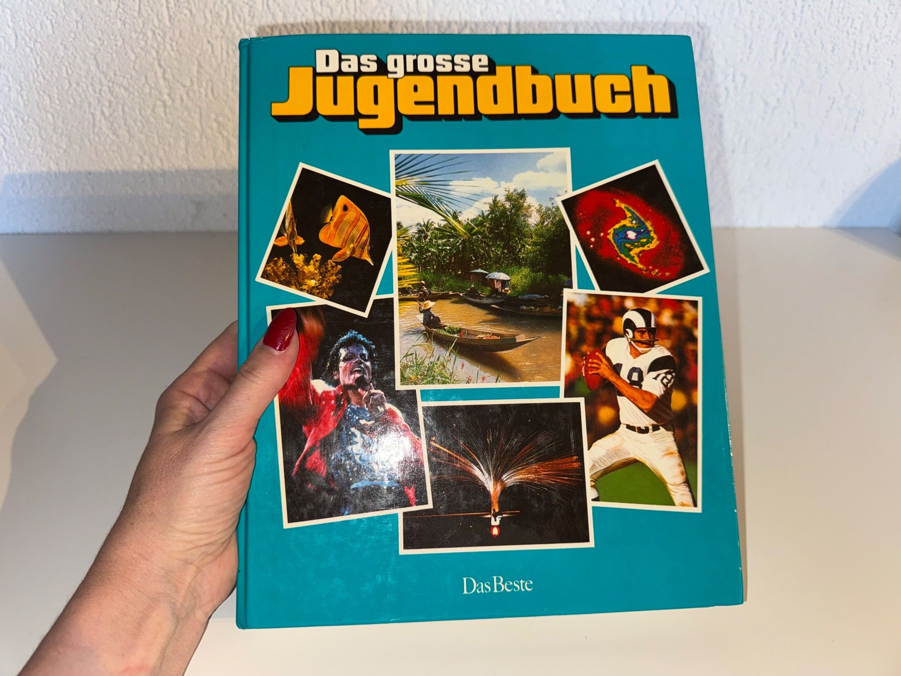 Libri: BUCH: Das grosse Jugendbuch 26te Folge – Usato da Grosswangen venduto da Second_hand_paradise