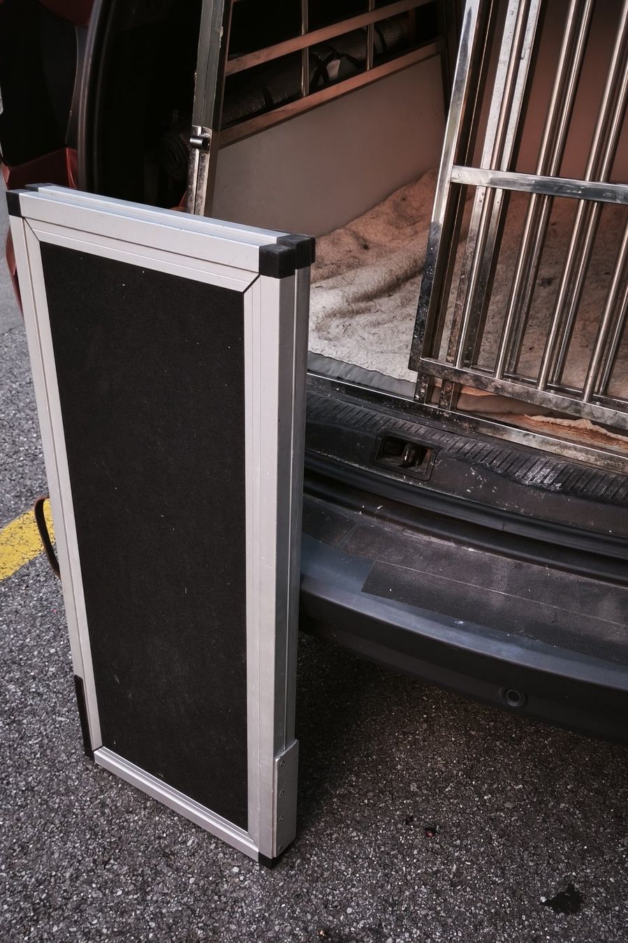 Cages, transport & sécurité: Hunderampe Aluminium zusammenschiebbar – D'occasion à Luzern par Raui 3