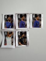 Panini WM 2026 Coca Cola Sticker