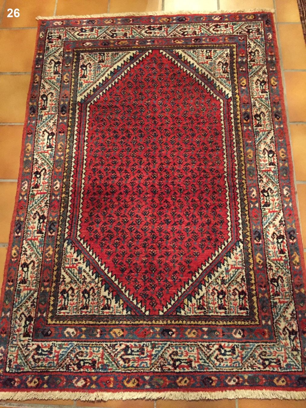 Tappeti: Tapis persan "Hamedan" – Usato da Basel venduto da Lancer4 1