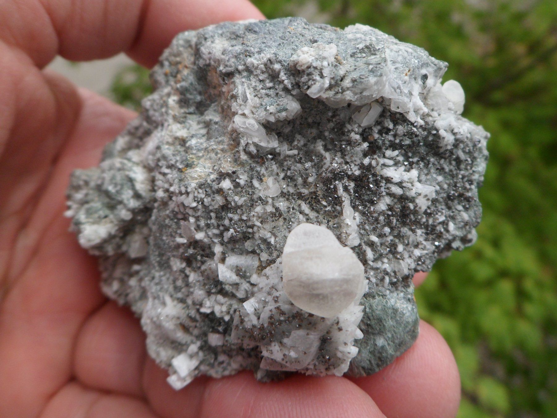 Minerali & Pietre curative: Titanit, Calcit, Adular, Pyrit. Schweiz – Usato da Affoltern am Albis venduto da Fossil60 1