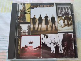 CD Hootie & The Blowfish – Cracked Rear View