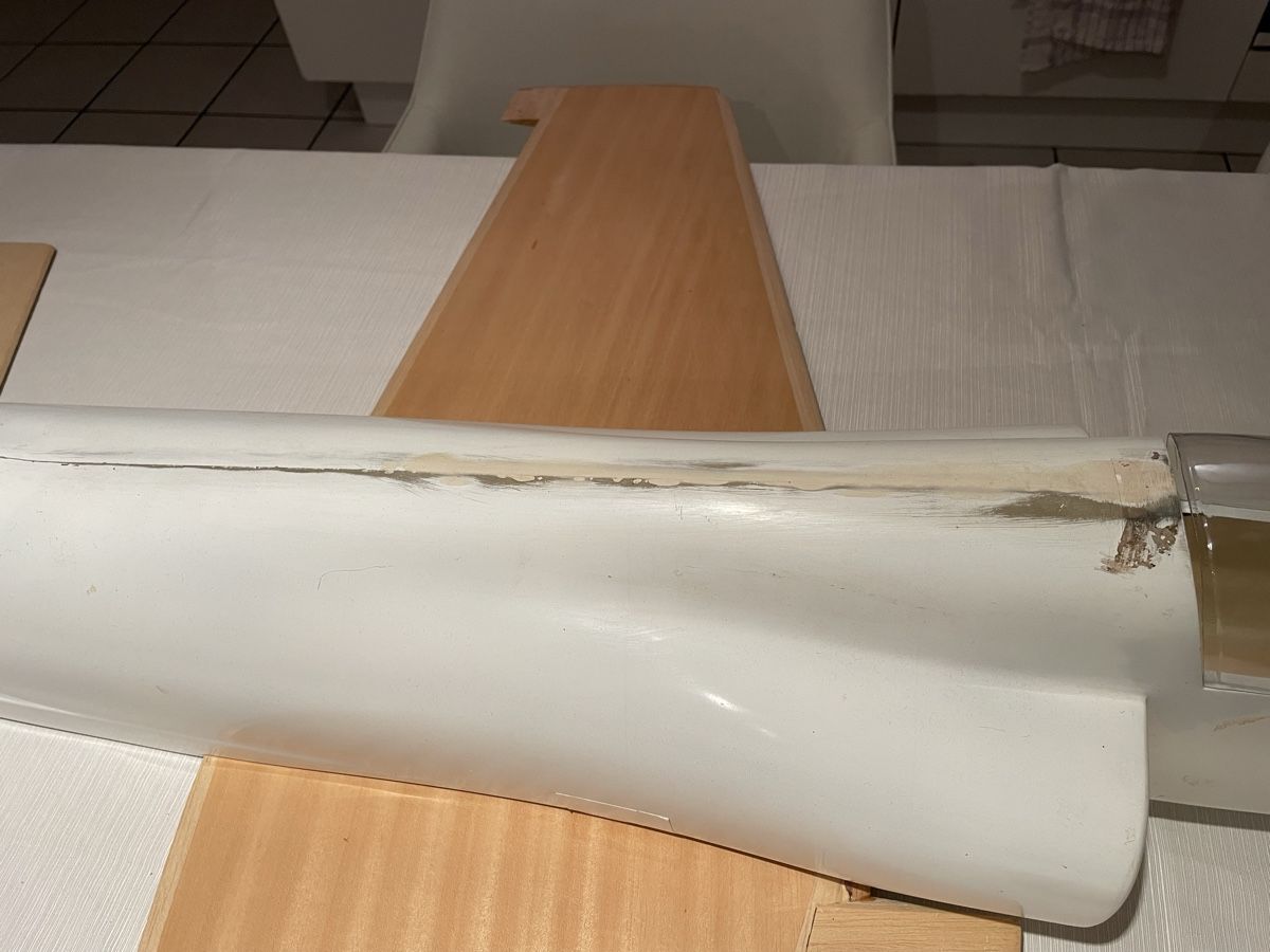 Modellismo RC: F-20 Tigershark Impeller – Usato da Rothrist venduto da Sisonsu 2