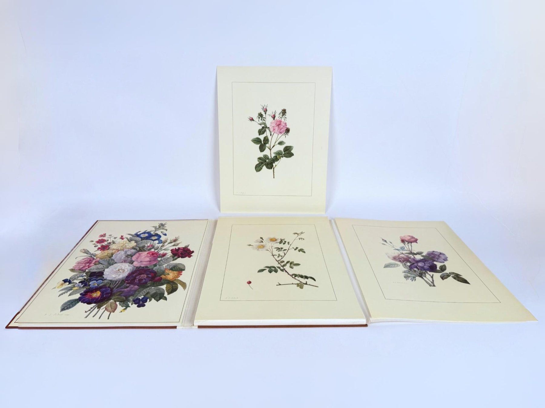 Libri: P.J Redouté - Botanisches Portfolio 1972 – Usato da Urtenen-Schönbühl venduto da Restwert_Schoenbuehl