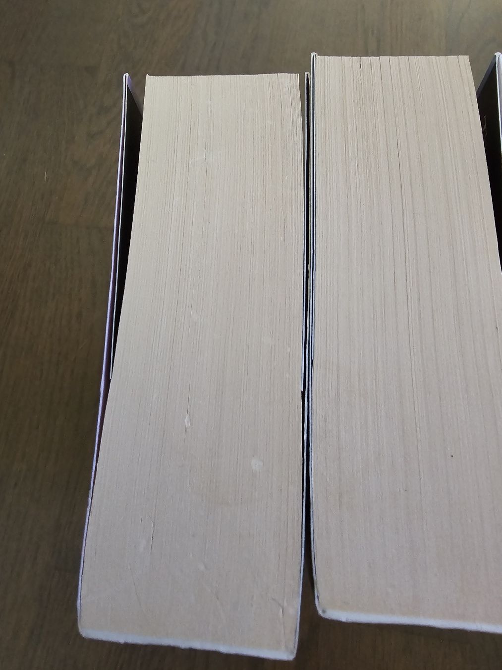 Libri: Königinnen Zyklus - Dawn Cook – Usato da Hinterforst venduto da impatiently 4