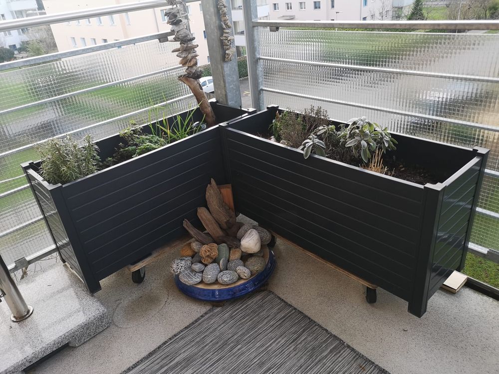 Pflanztrog, Kräuter oder Pflanzengefäs, winterhart Kaufen auf Ricardo