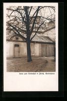 Zürich, Haus zum Lindenhof, Gartenhaus