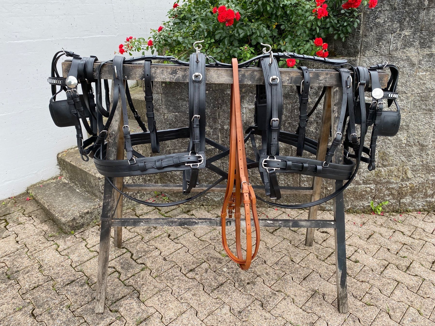 Kutschen: 1 Paar schöne zweispännige Ponygeschirre – Gebraucht aus Feldbach von Fea1 1