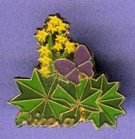 Ricola   Alchamila