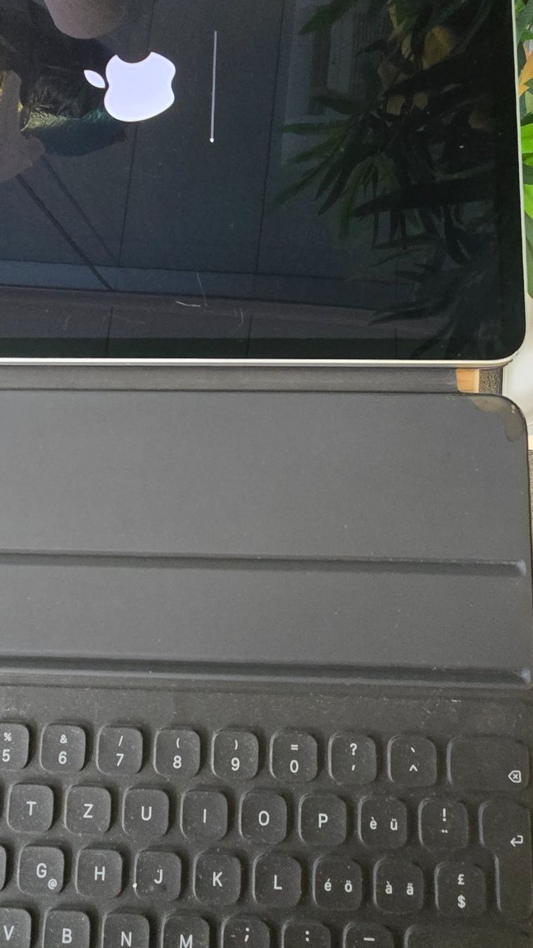 Apple Tablet PC: iPad Pro 12.9 " / Zoll, 4. Generation (4) – Gebraucht aus Winterthur von GreenSkyline 4