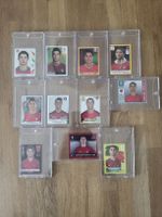 Ronaldo Panini Set SWISS EDITION