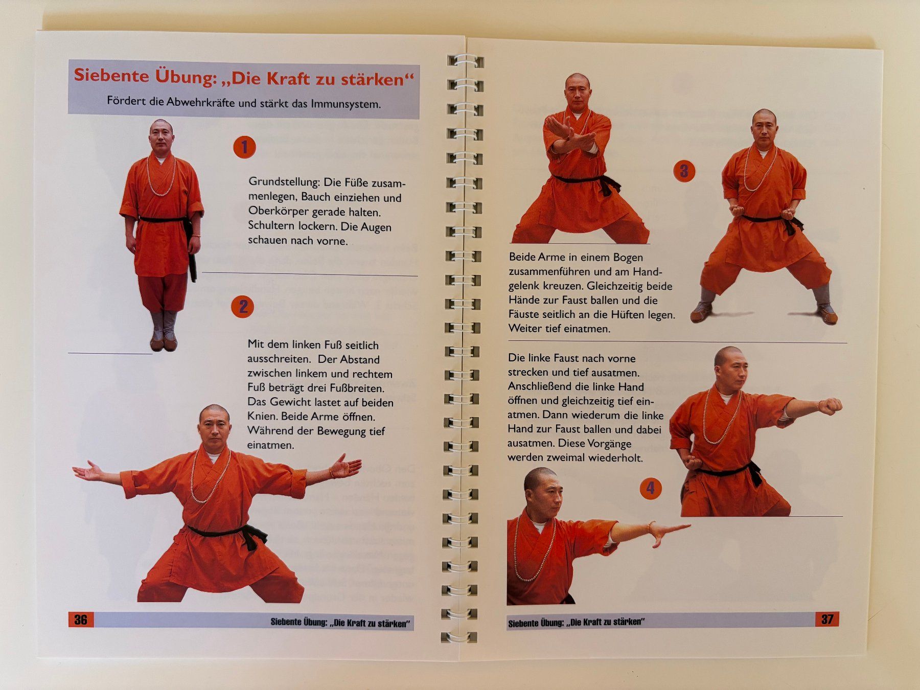 Libri: Stark & Gesund durch Qigong - mit Shaolin-Meister – Usato da Grüningen venduto da saya14 6