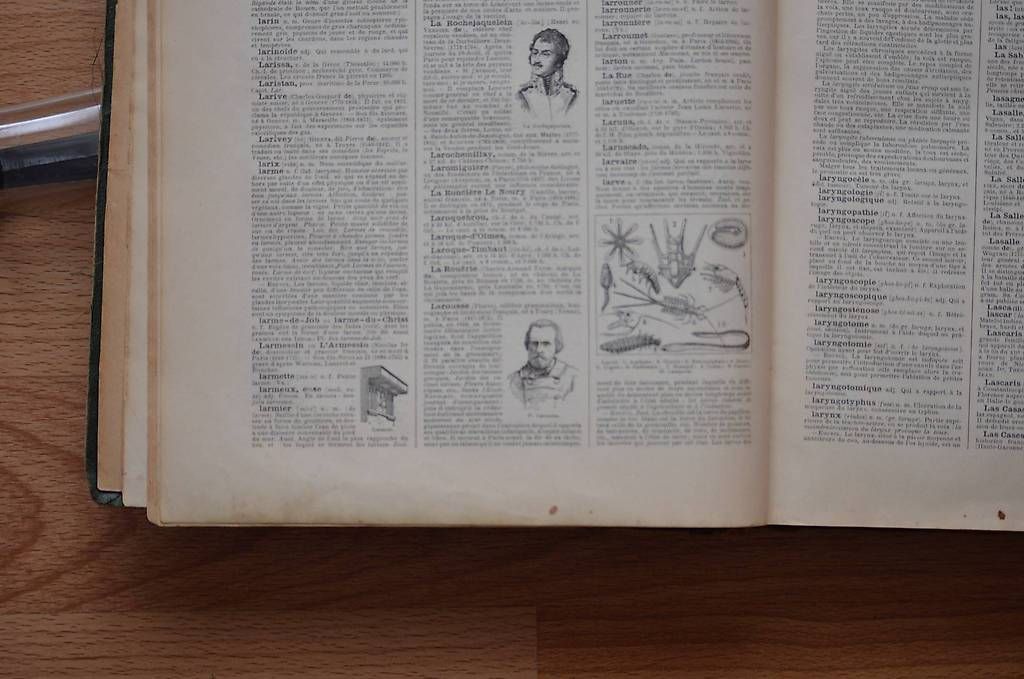 Bücher: Dictionnaire le Larousse pour Tous – Gebraucht aus Peseux von Tigre53 1