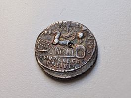 🇮🇹 Roman Republic Denarius Scaurus Hypsaeus 58 BC, SINCONA
