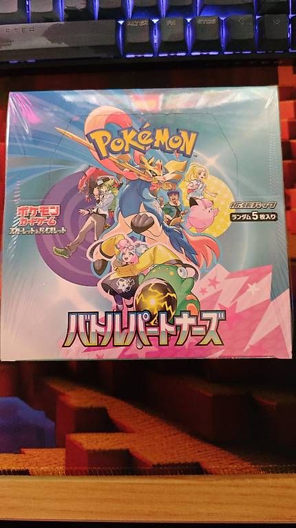 Carte collezionabili: Pokemon Battle Partners – Usato da Windisch venduto da leo_c2f9