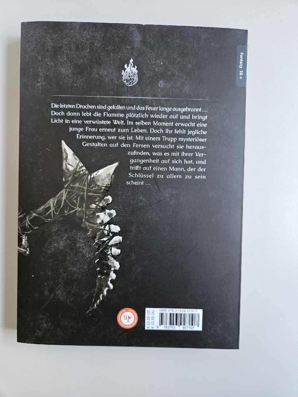 Fumetti: Dark Souls Redemption 1 Comic guter Zustand – Nuovo (secondo la descrizione) da Bern venduto da ves_2vjv 1