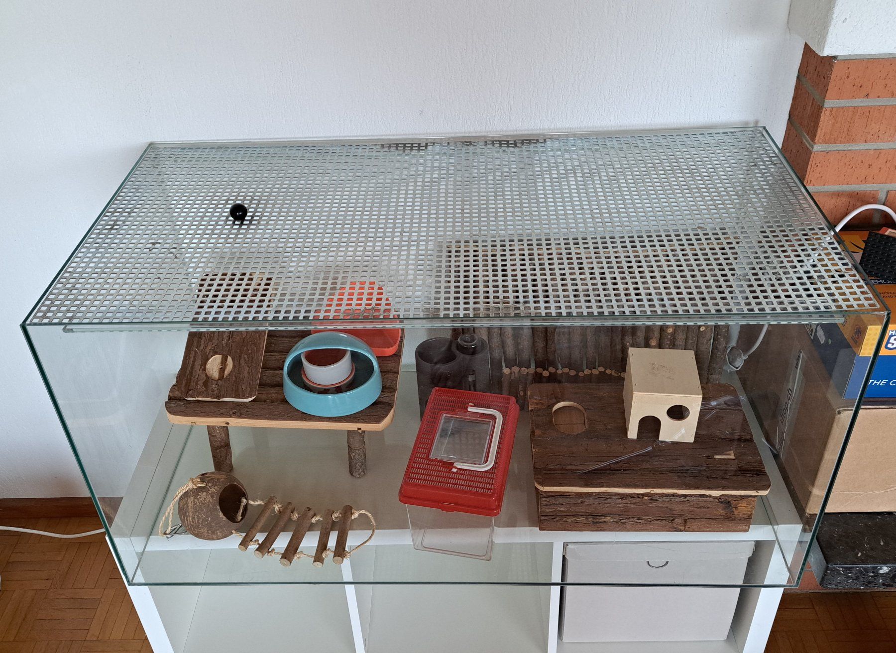 Terrario: Nagerterrarium Glas 100x50x50 – Usato da Wolfhausen venduto da Reto831 1