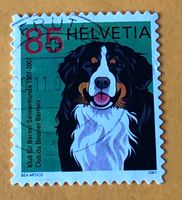 Nr.1227 Berner Sennenhund GESTEMPELT Sondermarken 2007   