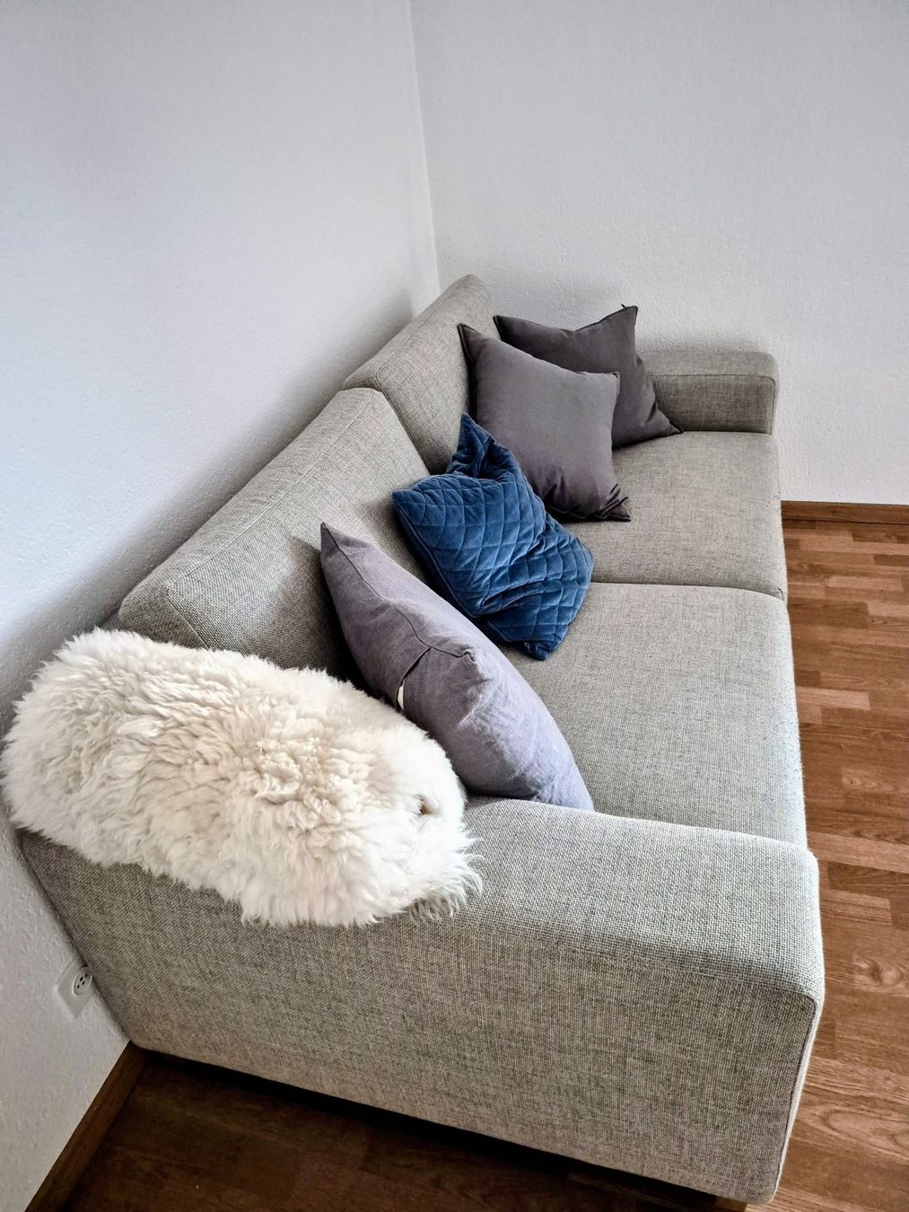 Ikea Divani: Sörvallen 2er-Sofa Viarp beige – Usato da Buttikon SZ venduto da Joe613 1