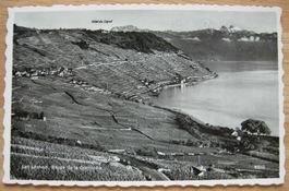 Ansichtskarte gelaufen - Genfersee, Route de la Corniche