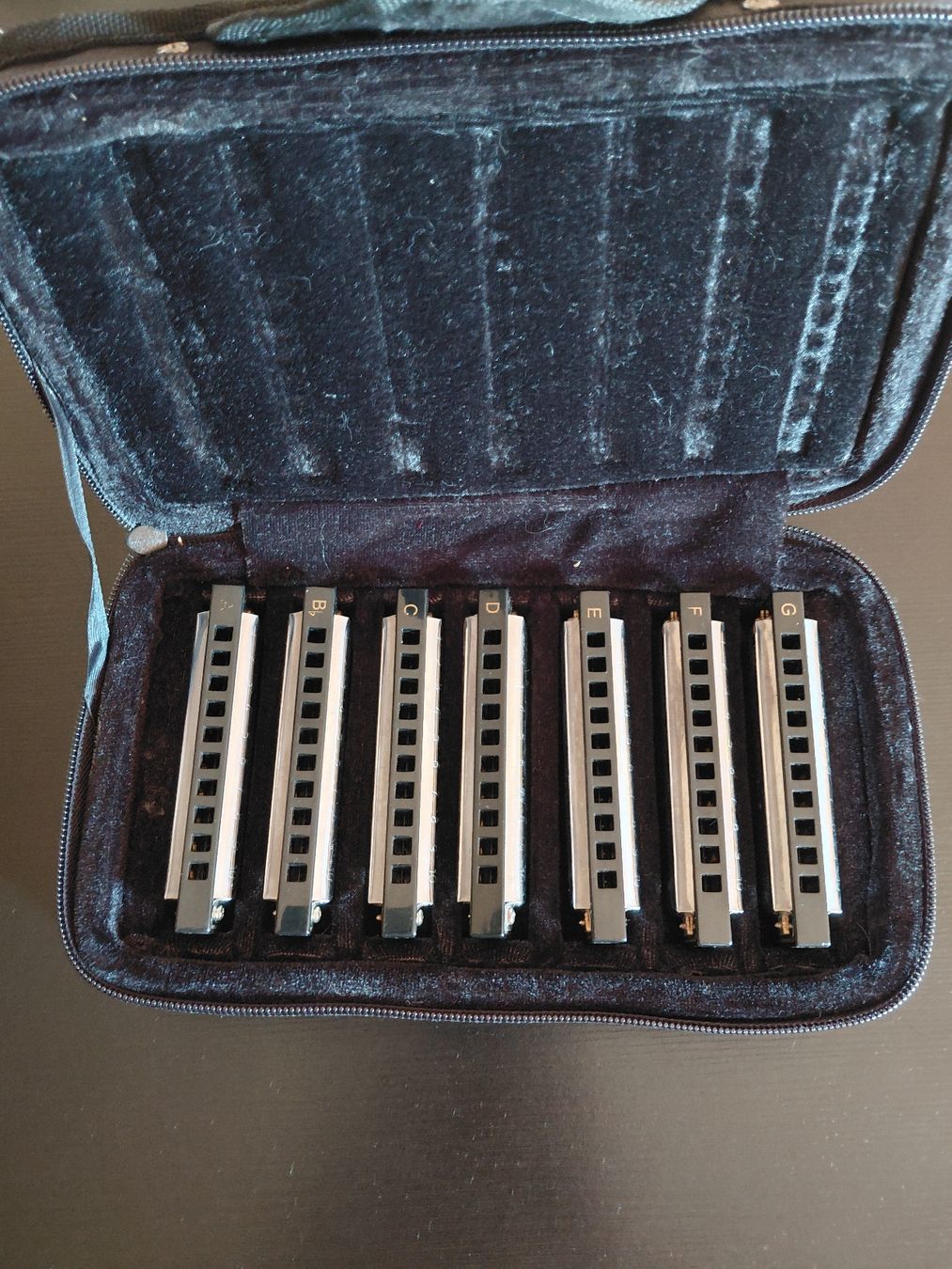 Hohner Strumenti musicali: Harmonica set Hohner Blues Band avec étui 7 pièces – Usato da St-Prex venduto da Nana_luc22 1