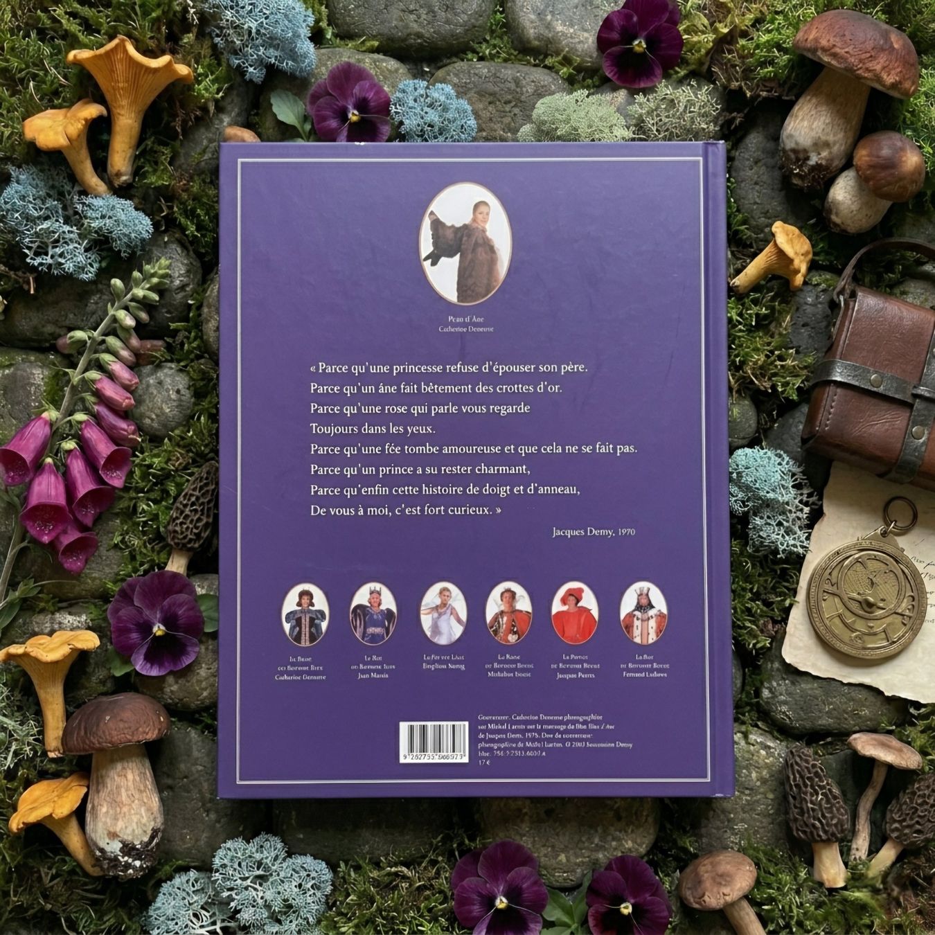 Libri: Peau d'Âne - Jacques Demy. Tranche dorée. – Usato da Sion venduto da XeniyaX 1