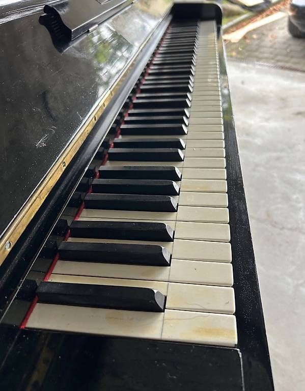 Strumenti musicali: Klavier – Usato da Appenzell venduto da kim_rw28 4