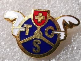 Ansteckpin 11: TCS