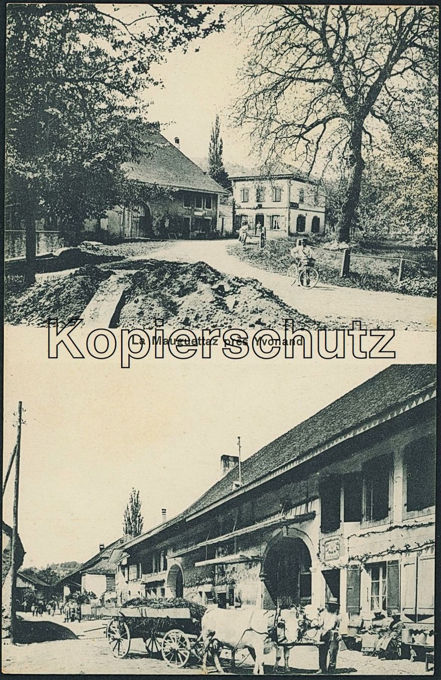 Cartoline postali: VD La Mauguettaz - Yvonand – Usato da Schindellegi venduto da dolpitz