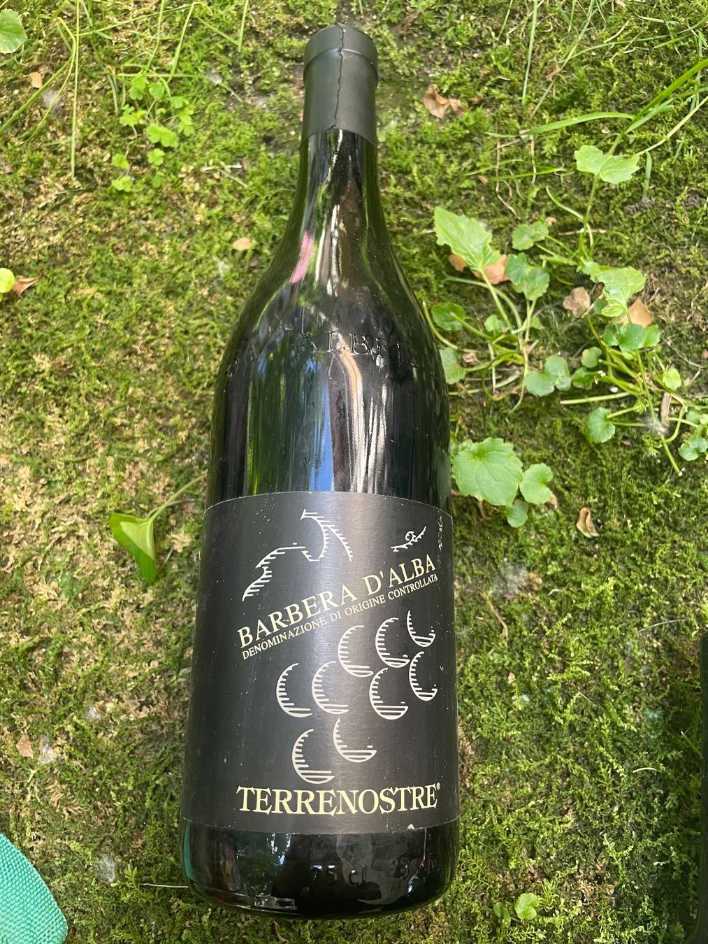Vino: Barbera d' Alba Terre Nostre  1997 – Nuovo (secondo la descrizione) da Minusio venduto da Pink222