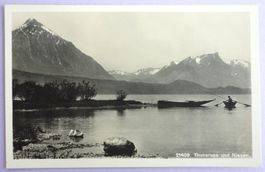 Thunersee und Niesen