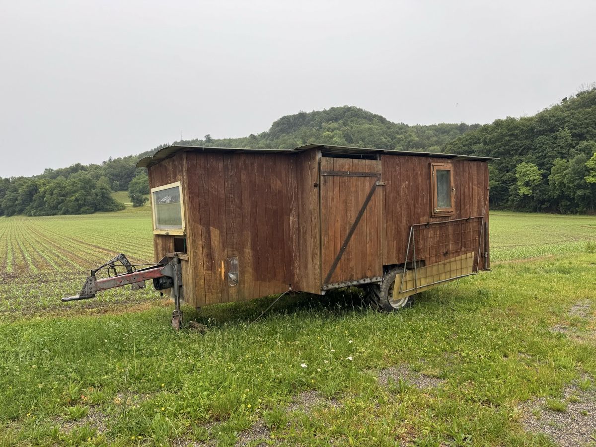 Rimorchi: Viehwagen – Usato da Eiken venduto da fab_6mlw