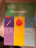 Neuroanatomie