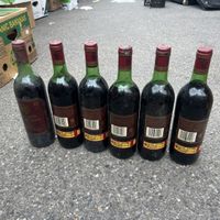 6 bouteilles vin rouge Marqués de Cáceres Rioja 1981