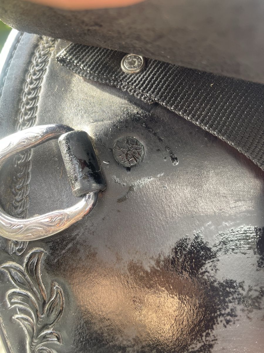 Selles, accessoires: Westernsattel / Showsattel schwarz-silber – D'occasion à Cham par pri_9ktk 6