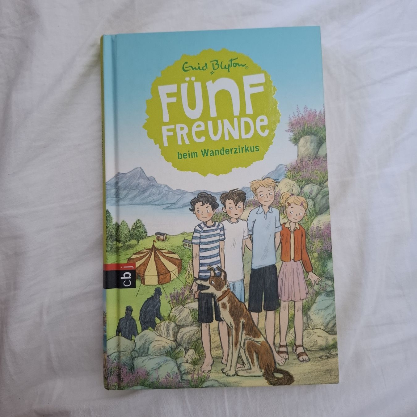 Bücher: Buch Fünf Freunde beim Wanderzirkus – Neu (gemäss Beschreibung) aus St. Gallen von emi_nfh9