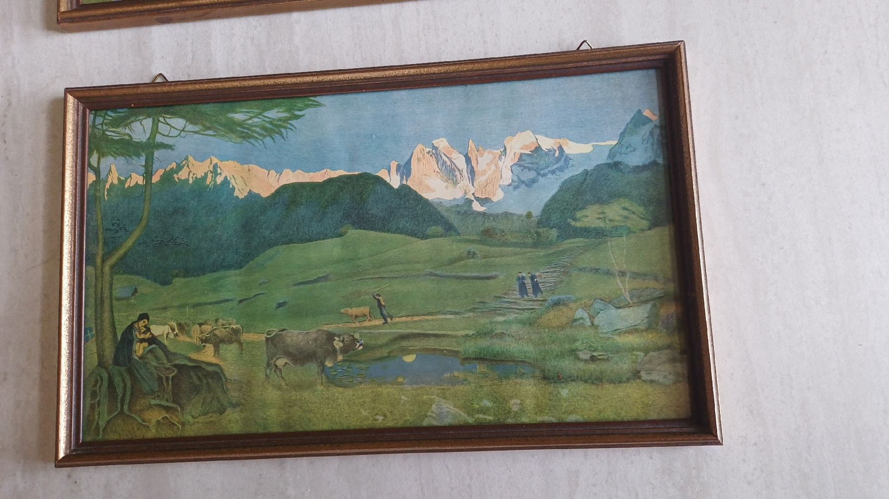 Foto & Immagini: 2 Bilder Segantini  – Usato da Flawil venduto da Naphtali 9