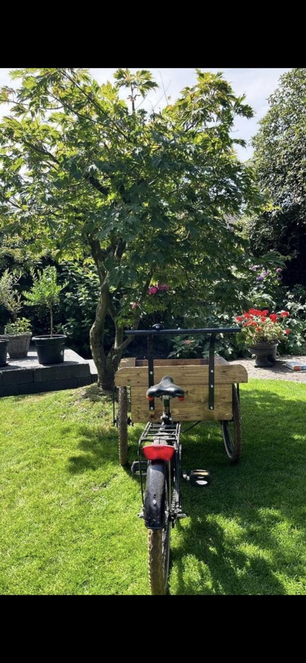 Velos: Transport Fahrrad  – Gebraucht aus Winterthur von vin_bb7c 2