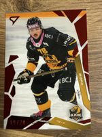 sportzoo ajoie sopa 19/20