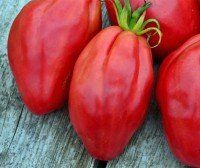 Fiammante BIO - Ochsenherztomate - 20 Samen