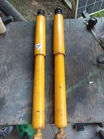 Koni sport Gelb 2 x hinter