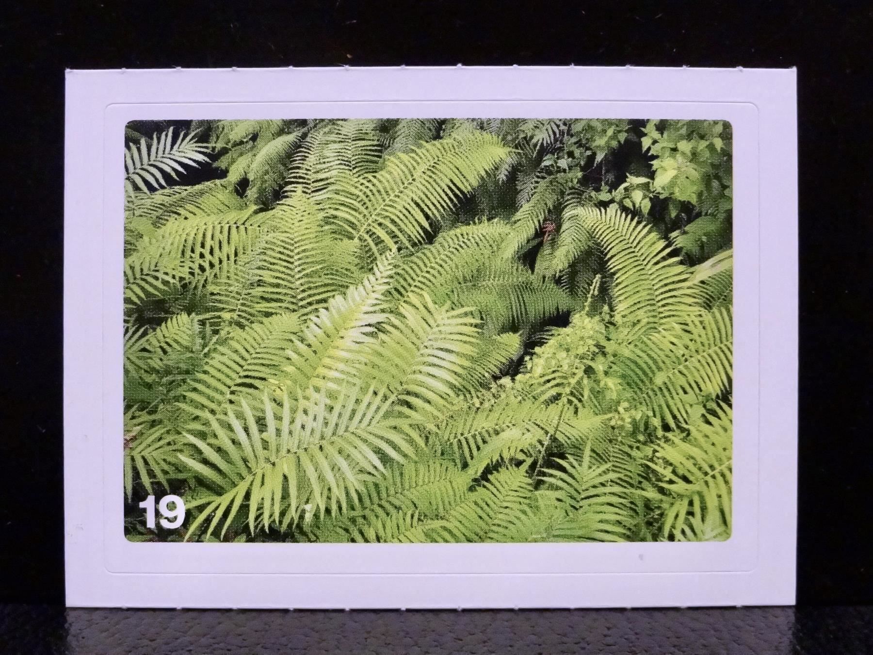Migros Carte collezionabili: MIGROS MANIA Nature Detectives Nr. 19 – Nuovo e nell'imballaggio originale da Kerzers venduto da zimmergruen