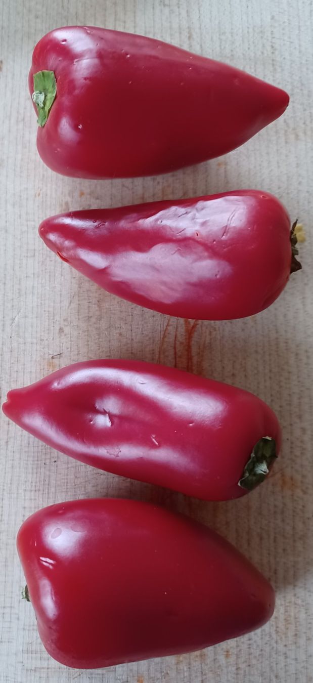 Piante & sementi: Samen Snackpaprika rot 10Stk. – Usato da Schwaderloch venduto da bademeister79
